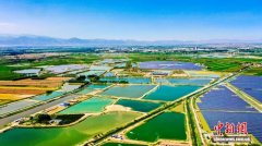 宁夏贺兰：盐碱地起渔潮 生态“鲜”货闯市场